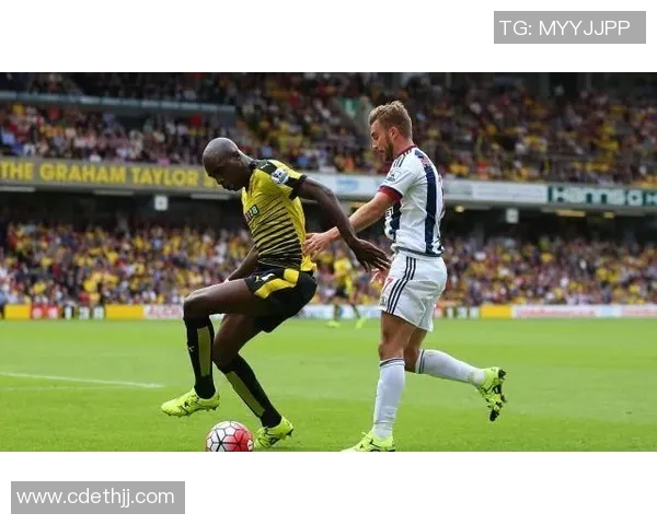 西布罗对阵水晶宫直播全程回顾与精彩瞬间分析